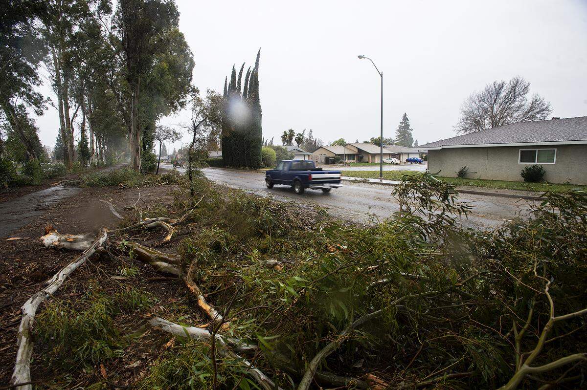 Downed tree limbs and debris are seen along M Street near Merced College as rain showers move through Merced, Calif., on Wednesday, Jan. 27, 2021.