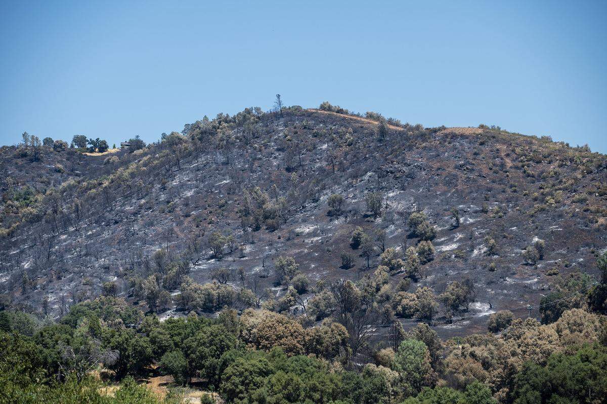 A section of hillside burned by the French Fire is seen above the town of Mariposa in Mariposa County, Calif., on Wednesday, July 10, 2024. According to fire officials, the wildfire started on July 4 in the area of French Camp Road and Highway 49 North in Mariposa County. The cause of the fire is under investigation.