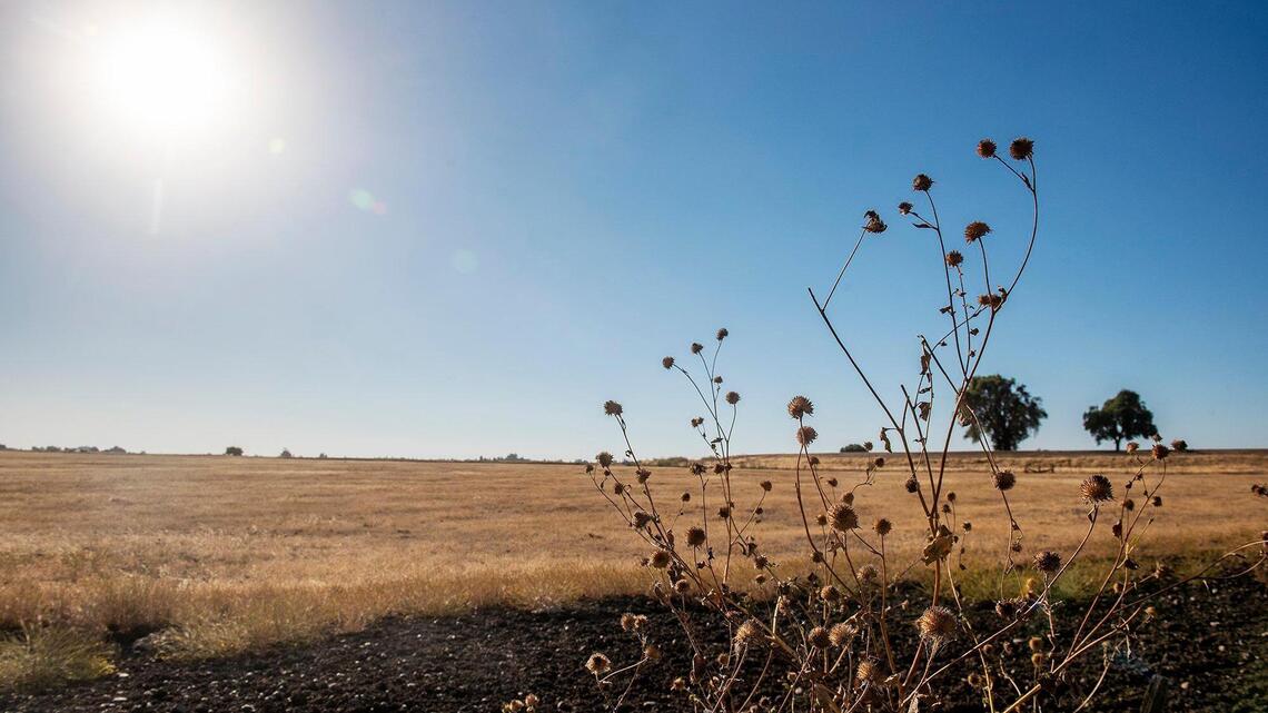 Merced just sweated through warmest July on record. How hot did it get — and what’s next?