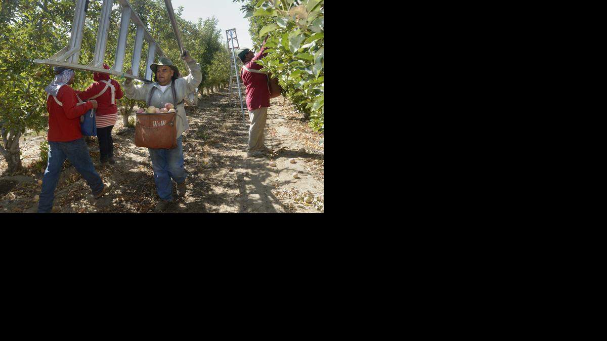 DN Farm workers