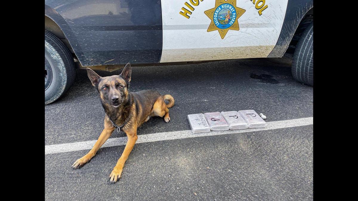 A driver was arrested during a traffic stop in Interstate 5 in Fresno County on Dec. 31, 2021, after officers and CHP K-9 Bruce located suspected cocaine hidden inside the vehicle, according to the California Highway Patrol. Image courtesy of California Highway Patrol.