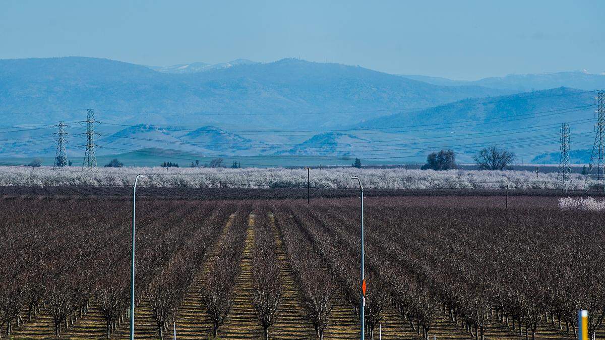 Orchards are viewed from Campus Parkway, looking towards the Sierra Nevada mountains, on Thursday, Feb. 27, 2020, in Merced, California.