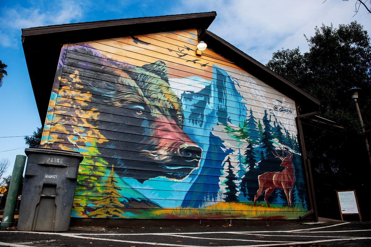 A mural on the side of a building at the entrance to Applegate Park Zoo in Merced, Calif, on Thursday, Dec. 12, 2024.