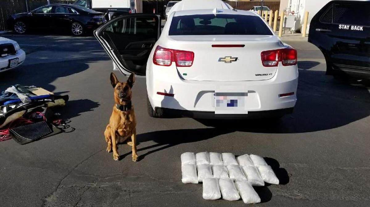 Merced County K-9 officer Laika helped officers take 35 pounds of crystal methamphetamine off the street on Thursday, Oct. 19, 2017, according to the California Highway Patrol.