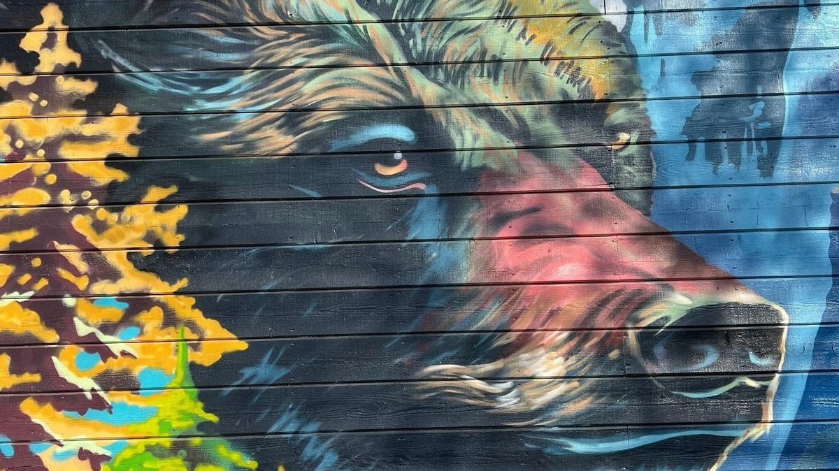 Local artist Joel Aguilar unveiled Applegate Park Zoo’s newest mural in February.