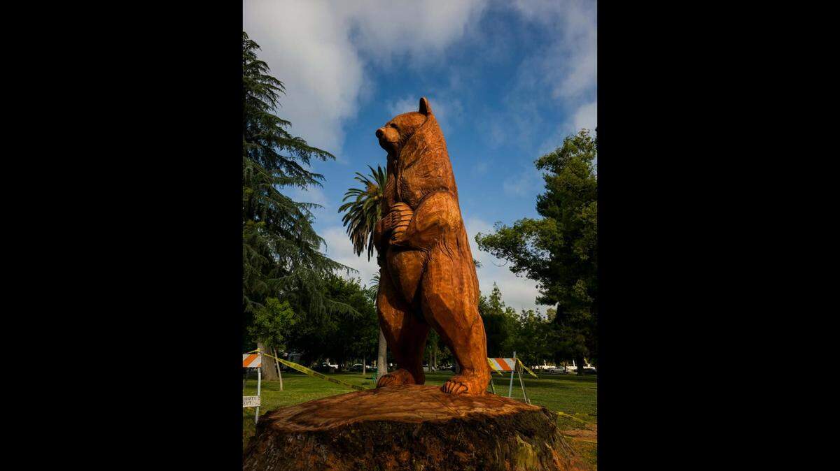 Photo of a large wood-carved bear statue holding a beehive in Merced’s Courthouse Park