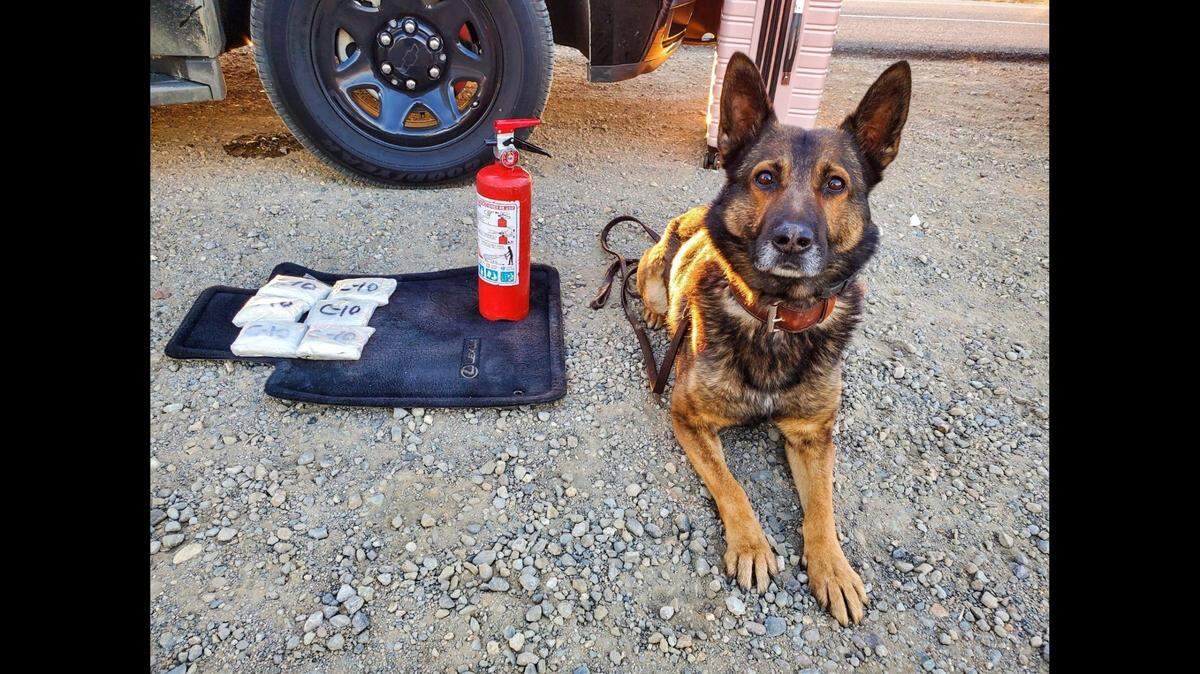 A driver and passenger were arrested Friday, during a traffic stop on Interstate 5 in Fresno County. According to the California Highway Patrol, an officer and K-9 Beny, located a backpack containing packages of suspected fentanyl pills and a fire extinguisher containing about seven pounds of suspected heroin. Image courtesy of California Highway Patrol.
