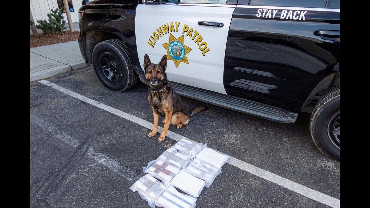 A driver was arrested during a traffic stop along Interstate 5 in Fresno County on Saturday, after officers located about 20 pounds of suspected cocaine inside a vehicle, according to the California Highway Patrol. Image courtesy of California Highway Patrol.