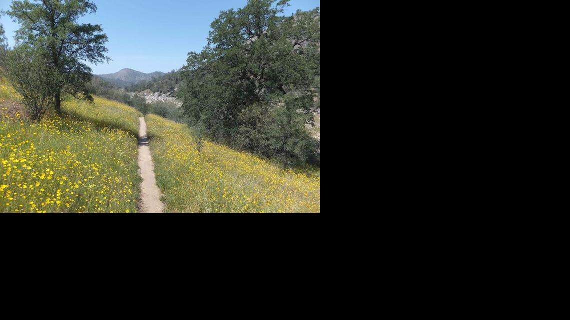Blauert on Outdoors: Trails near San Joaquin River make for a fun hike
