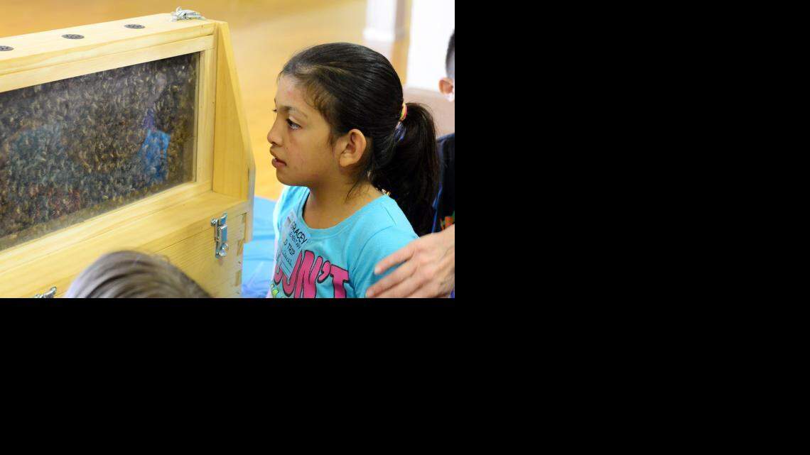Merced children get closer look at crops, livestock