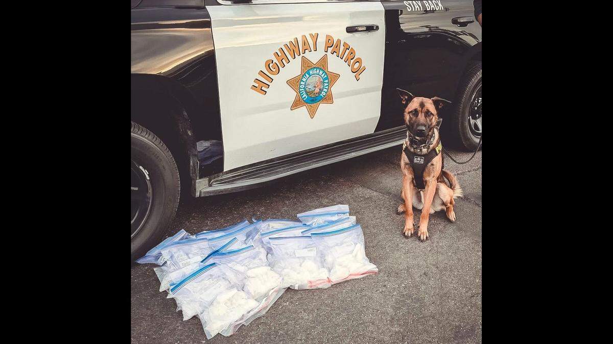 Jag alerted his officer partner to the presence of crystal methamphetamine in Merced County on Tuesday, Nov. 11, 2025.