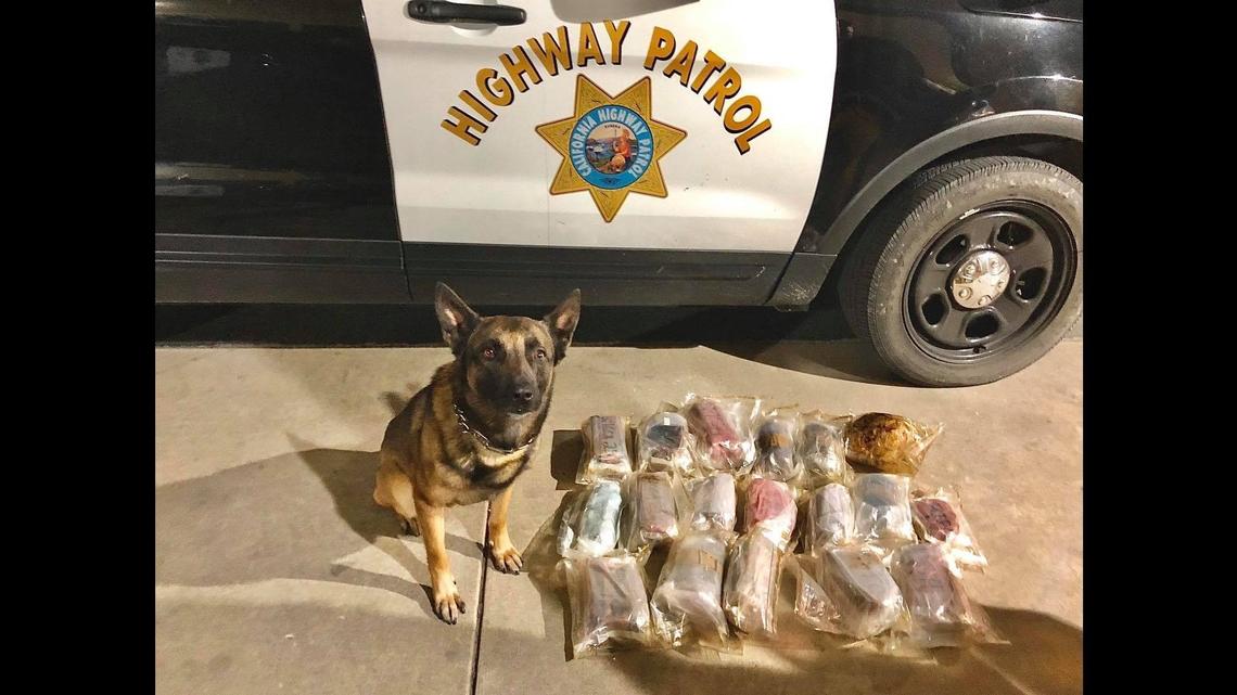 Two suspects were arrested Tuesday, after an officer and K-9 “Bruce” located about $1.8 million in drugs inside a vehicle during a traffic stop in Fresno County, according to the California Highway Patrol.