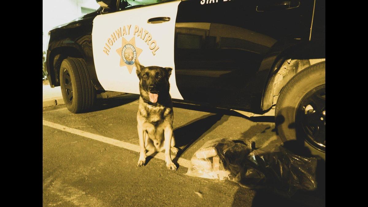 A Washington man was arrested during a Fresno County traffic stop along Interstate 5 on Aug. 1, after a California Highway Patrol officer and K-9 located about 24 pounds of suspected cocaine hidden in the floor of a vehicle, according to the CHP. Image courtesy of California Highway Patrol.