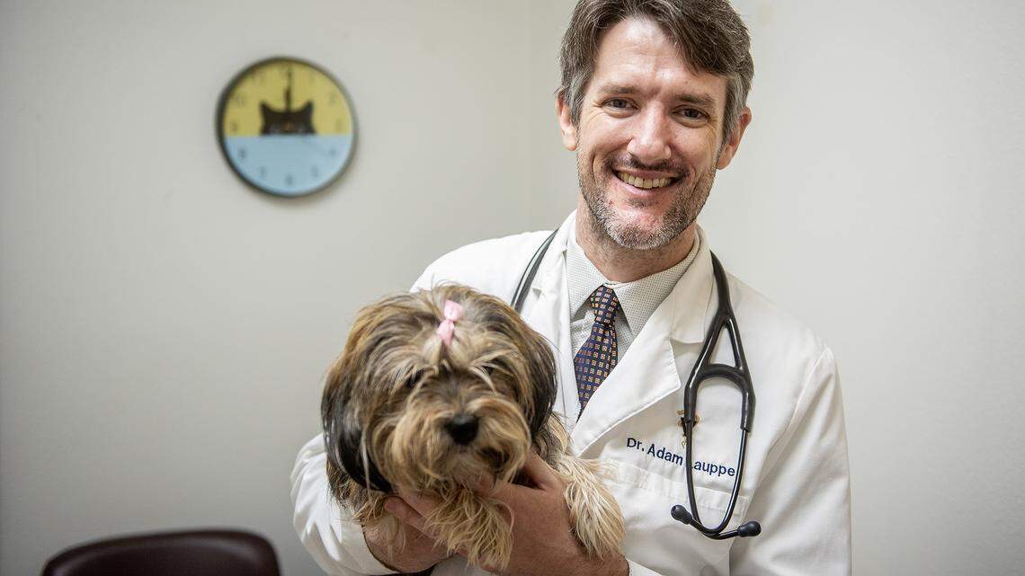 Doctor Adam Lauppe, 39, of Merced, holds a terrier mix rescue dog named Cookie, at Valley Animal Hospital located at 58 W. 16th Street in Merced, Calif., on Friday, July 25, 2025. 
