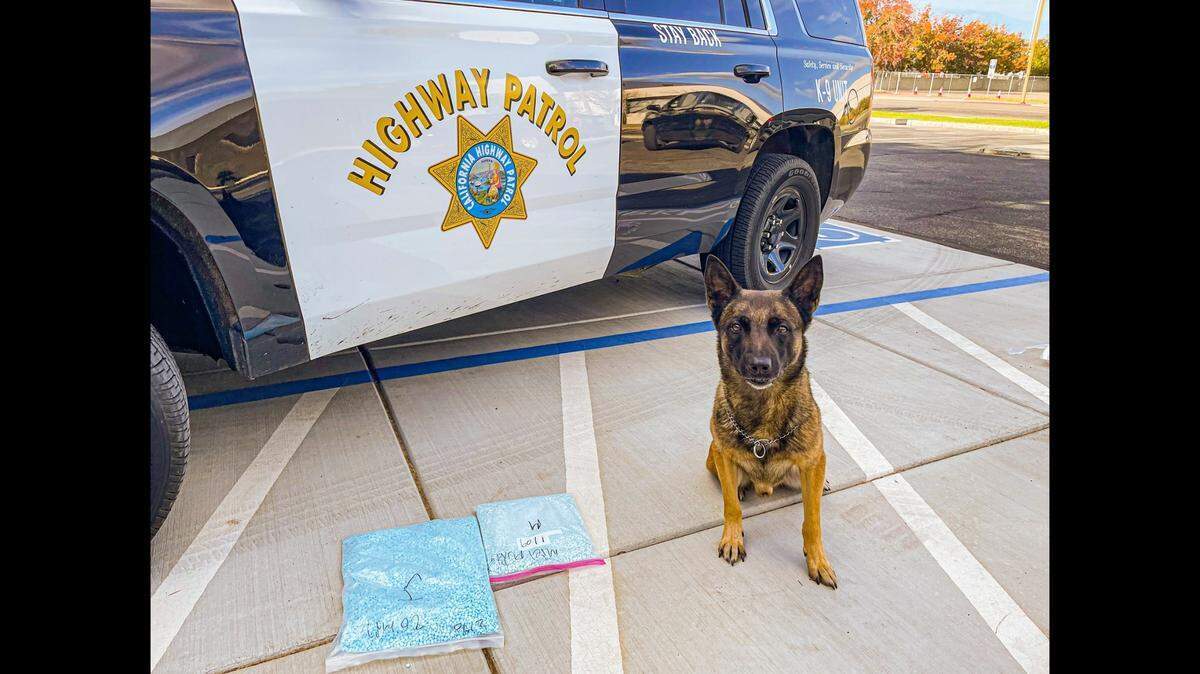 Officers arrested the driver and passenger in two separate vehicle stops along Interstate 5 in Fresno County on Nov. 4, after officers located suspected narcotics in both vehicles, according to the California Highway Patrol. Authorities said CHP K-9 Bruce, assisted in the discovery of 34,000 suspected counterfeit pills containing Fentanyl located inside a Ford EcoSport. CHP K-9 Beny assisted in the discovery of about 2.2 pounds of suspected cocaine located inside at Nissan Altima, the CHP said. Image courtesy of California Highway Patrol.
