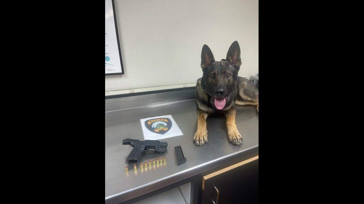 A driver was arrested during a traffic stop in Merced on Wednesday, after he was found to be in possession of a concealed 9 mm handgun, according to the Merced Police Department. The driver was also arrested on a warrant in connection with a fatal December 2020 DUI crash in Merced. Image courtesy of Merced Police Department.