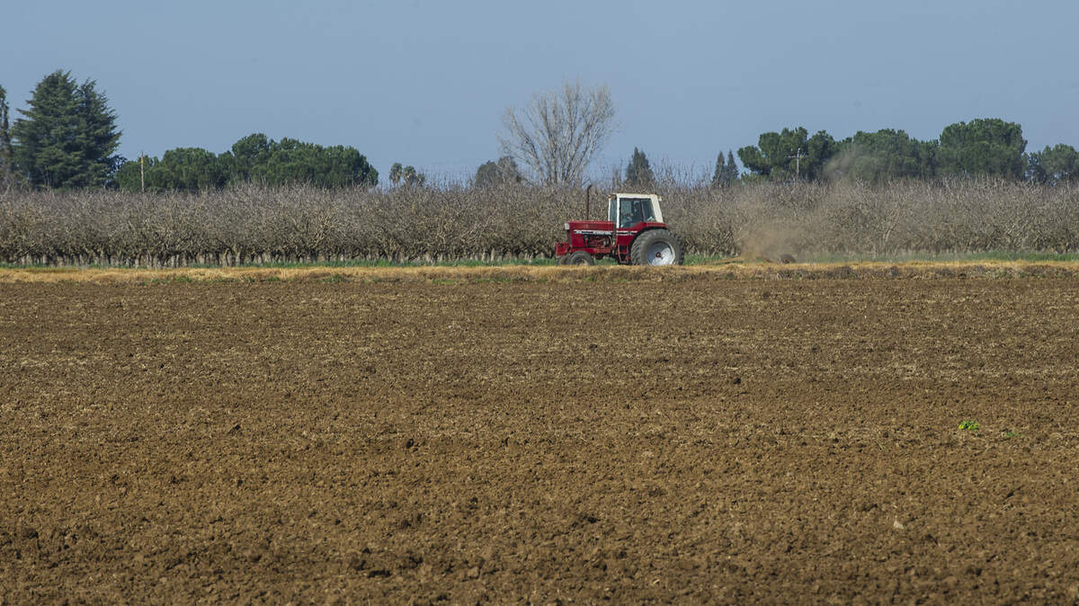 Un tractor ara un campo, el jueves 27 de febrero de 2020, en Merced, California. Las autoriades federales están recortando el agua a las granjas locales, y las bombas podrían empezar a usarse para regar los campos y huertos secos.
