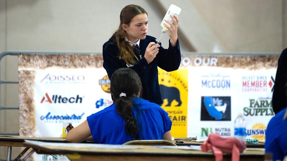 El Capitan High School student Mady Dietz was recently named the 2024 Supreme Champion Challenge Exhibitor, Champion Large Animal Exhibitor and Champion Sheep Exhibitor at the California State Fair in Sacramento.