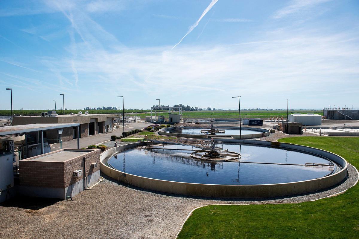 The City of Merced Wastewater Treatment Plant in Merced, Calif., on March 18, 2024. According to Wastewater Treatment Plant Operations Supervisor Charles Slagter, more than 900 sheep are used to graze in fields around the plant as a form of vegetation control allowing the city to avoid the use of costly and harmful herbicides.