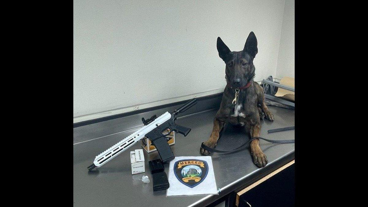 A suspected gang member was arrested Saturday, March 12, 2022, in Merced after an officer said he located a gun, ammunition and drugs during a search of a home in the 1400 block of Stretch Road, according to the Merced Police Department. Image courtesy of Merced Police Department.