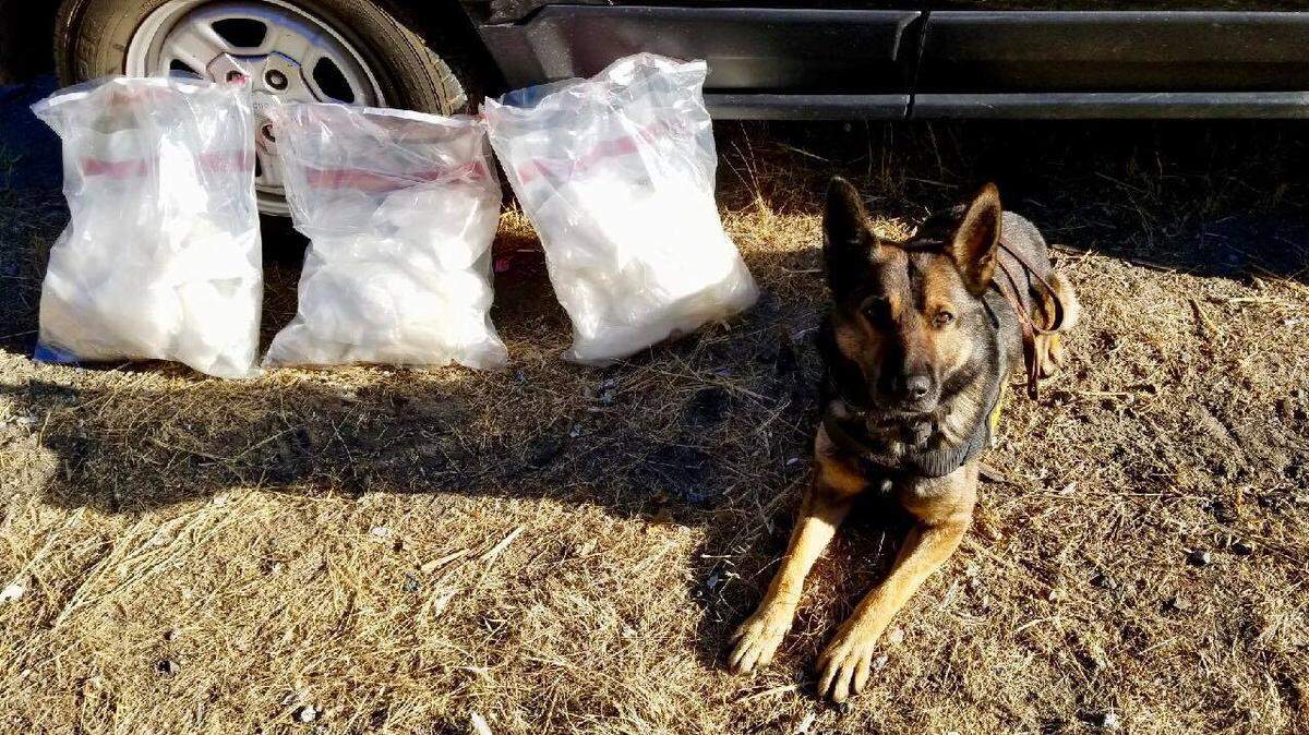 These bags of crystal methamphetamine were found in a secret compartment in the roof of a 2013 Jeep Patriot after CHP K9 Beny alerted officers during a speeding traffic stop Tuesday, Aug. 28, 2018, on Pacheco Pass.