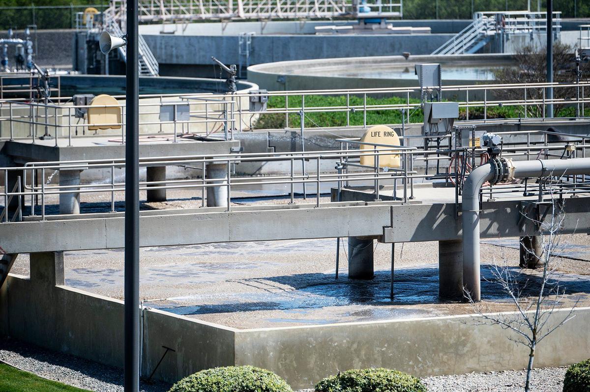 The City of Merced Wastewater Treatment Plant in Merced, Calif., on March 18, 2024. According to Wastewater Treatment Plant Operations Supervisor Charles Slagter, more than 900 sheep are used to graze in fields around the plant as a form of vegetation control allowing the city to avoid the use of costly and harmful herbicides.