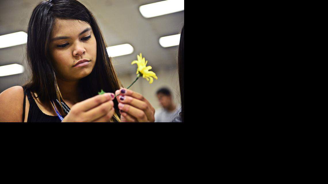 Career Industry Day exposes students to many choices