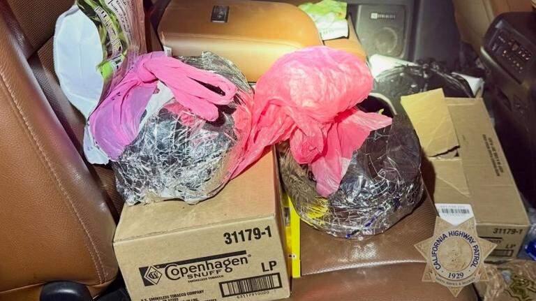 CHP makes big drug arrest in Merced County. What is khat?