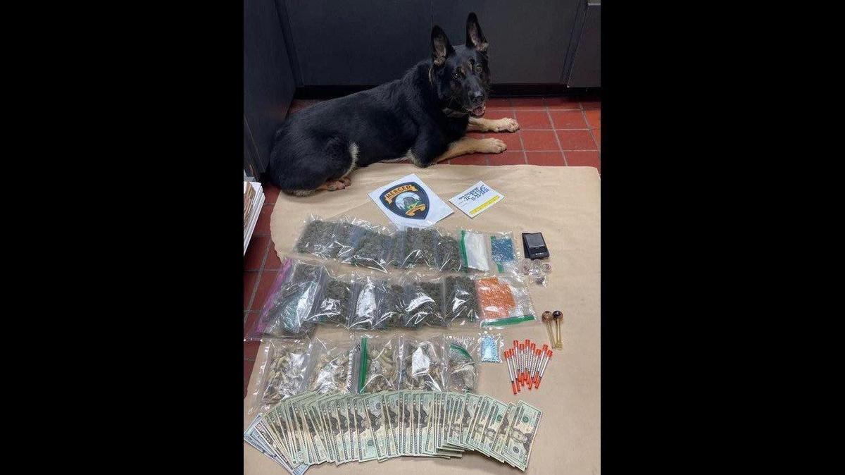 An officer and K-9 found narcotics, money and drug paraphernalia during the search of a residence in Merced on Wednesday, according to the Merced Police Department. Image courtesy of Merced Police Department.