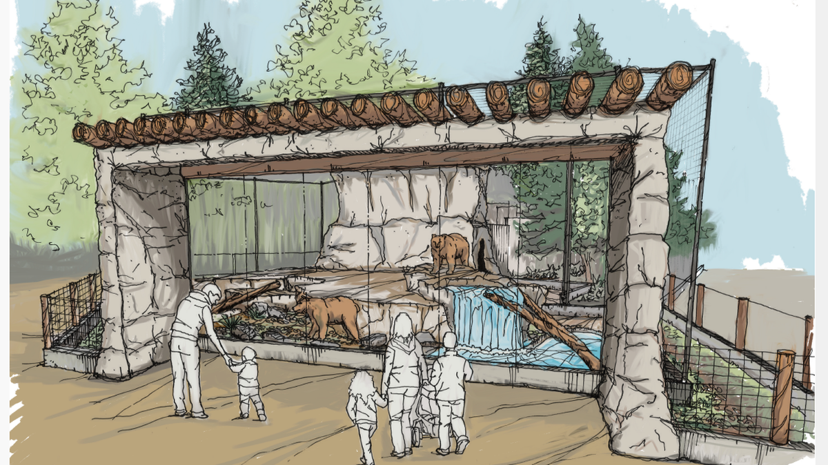 Here is a preliminary rendering of the new black bears exhibit that will be constructed at the Merced Applegate Zoo.