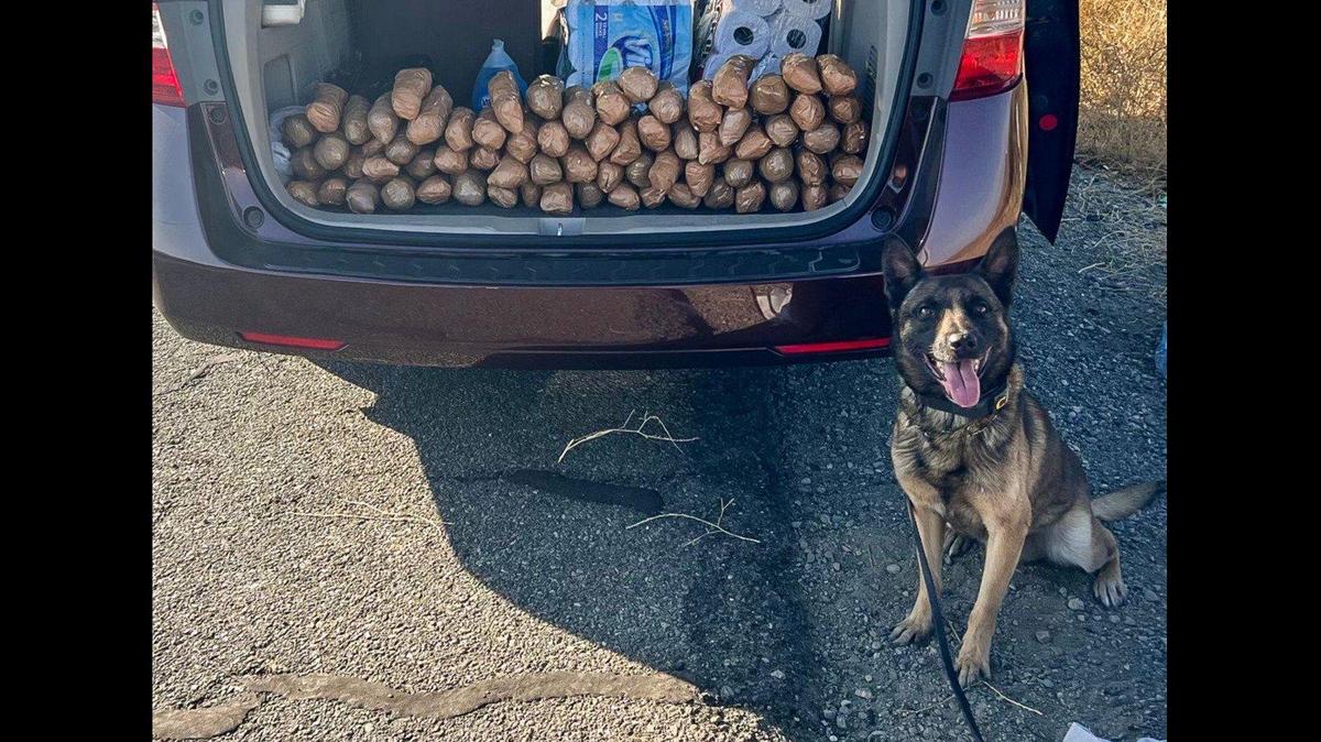 A Washington man was arrested during a Fresno County traffic stop along Interstate 5 on Aug. 3, after a California Highway Patrol officer and K-9 located about 71 pounds of suspected methamphetamine and a stolen gun inside the vehicle, according to the CHP. Image courtesy of California Highway Patrol.