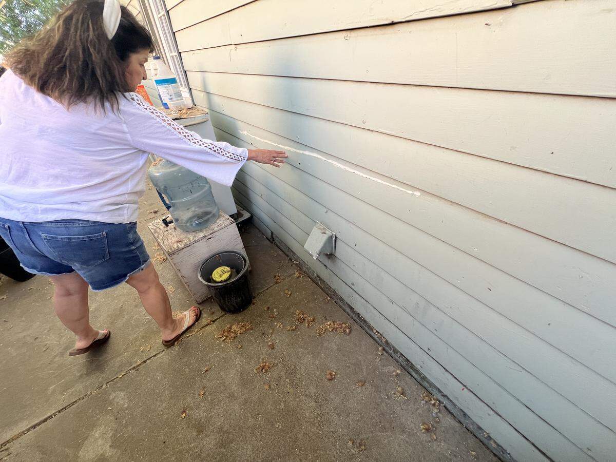 A woman reaches to point at green-painted siding on her house.