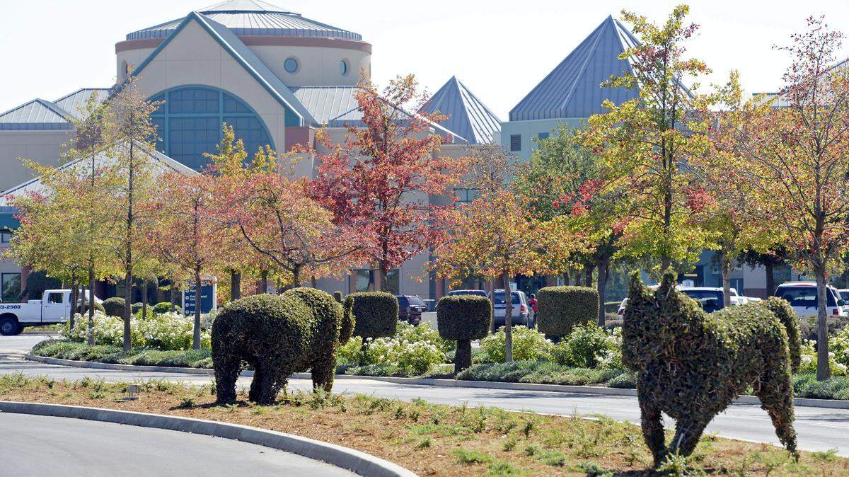 Valley Children’s Hospital in Madera County and the city of Merced are in negotiations over a north Merced property that would become an outpatient facility for the celebrated hospital.