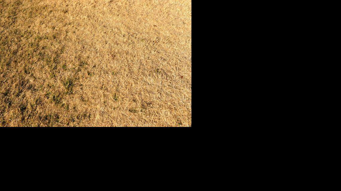 Brigitte Bowers: Drought cycle drying up the dreams of suburbia