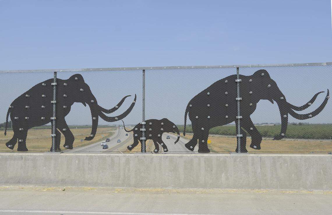 Close up of mammoth silhouettes near Le Grand overpass, Friday July 12.
