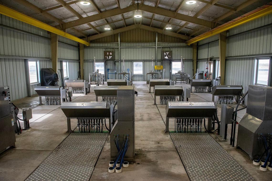 The UV Disinfection Facility at the Wastewater Treatment Plant in Merced, Calif., on Thursday, Nov. 21, 2024. The facility uses ultra violent lights to disinfect wastewater.