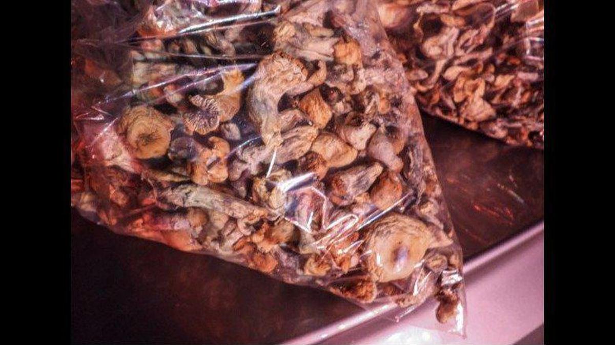 California Senate Bill 58 would remove criminal penalties for possession of psilocybin, mescaline and other plant-based substances.
