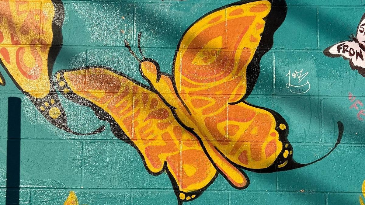 A mural outside Sam’s Smoke Shop near R and 12th streets depicts representation of immigrant and undocumented communities in Merced on Tuesday Jan. 28. Butterflies are commonly used to represent migration. “Merced” is written inside one butterfly, “Save the TPS” is written in another, and “Defend DACA” is illustrated inside the wings of another butterfly.