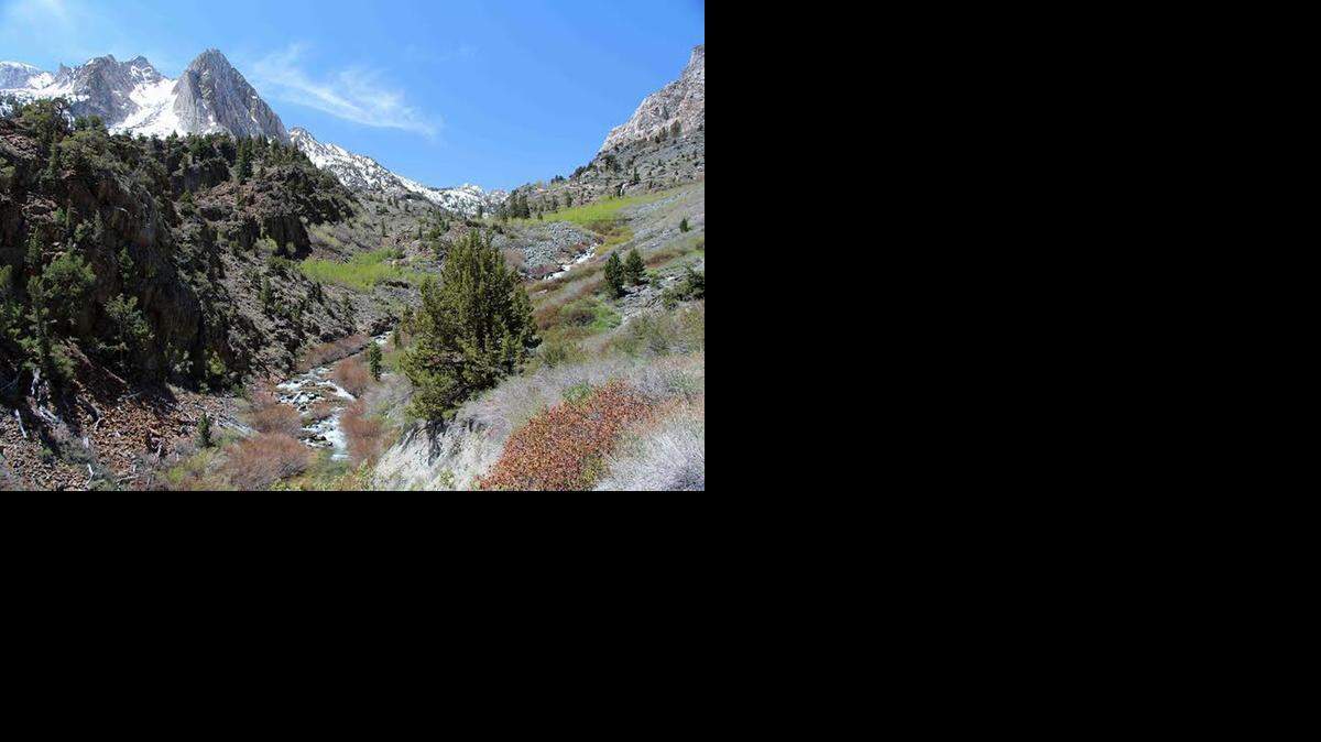 The Buckeye Canyon offers some beautiful views for hikers making the trip along Buckeye Creek Trail.
