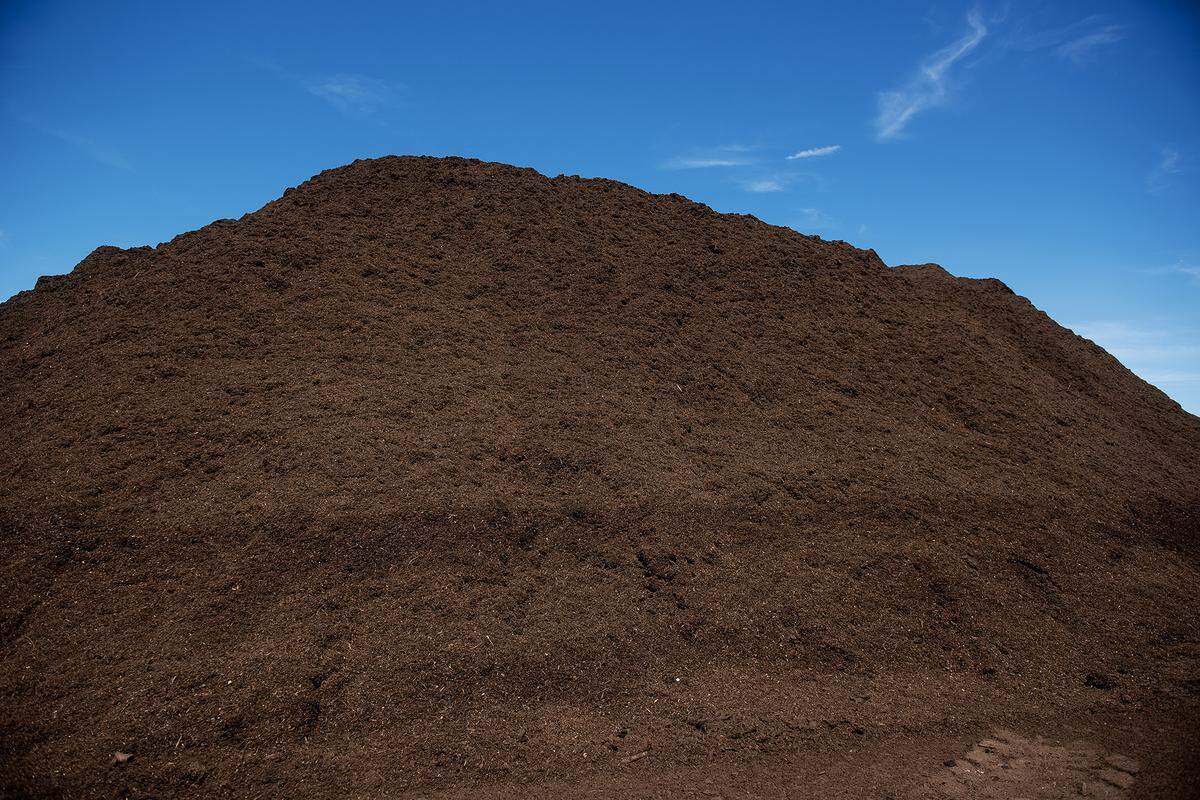 Composted green waste material at the Highway 59 Landfill in Merced County, Calif., on Thursday Aug. 7, 2025. 