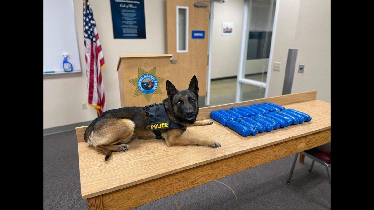 A 28-year-old Phoenix man was arrested after a California Highway Patrol officer and CHP K-9 found about 26 pounds of pills suspected of containing fentanyl during a Merced County traffic stop, according to the CHP. Image courtesy of California Highway Patrol.
