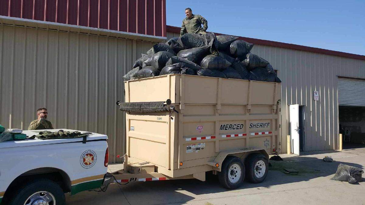 Livingston police and Merced County deputies seized more than 10,300 pounds of trimmed marijuana plants were confiscated around 7 a.m. Wednesday, July 4, 2018, from a warehouse on Industrial Drive in Livingston.