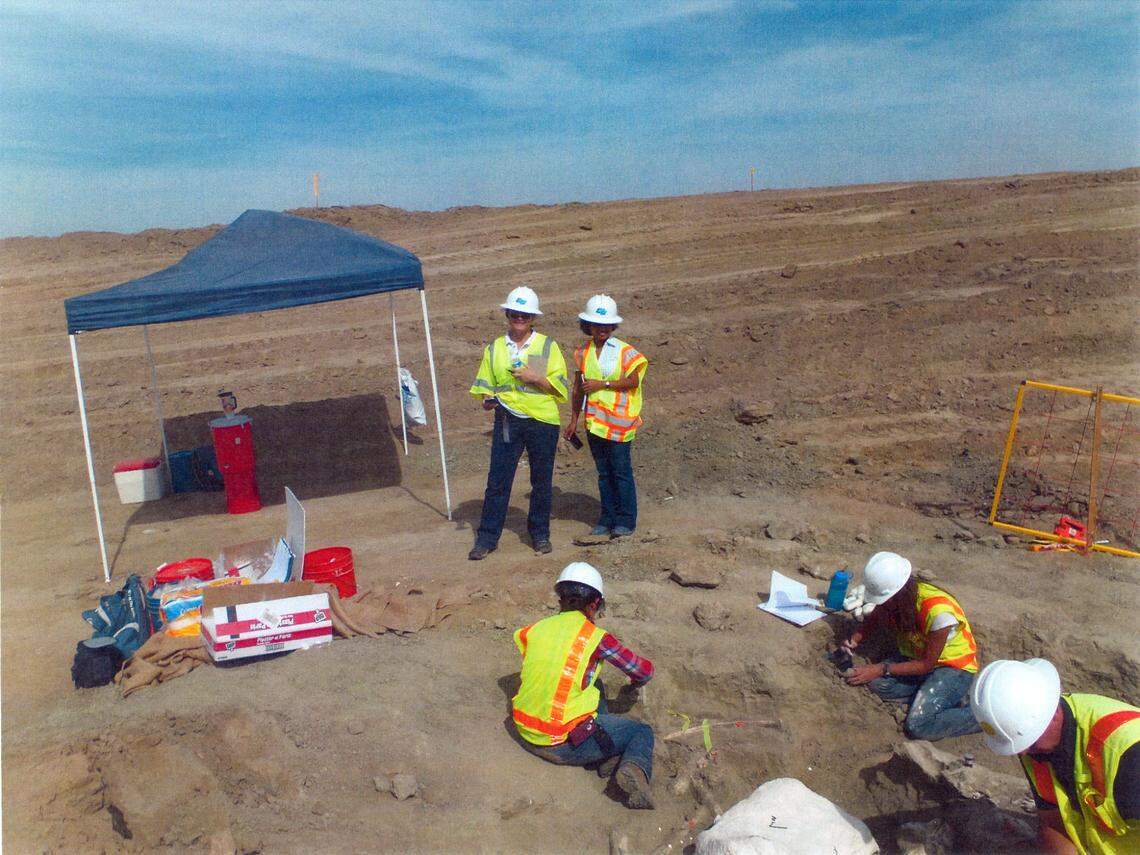 Back in 2012 fossils of 2,000 ice-age fossils were found during the excavation of the Plainsburg and Arboleda Highway projects.
