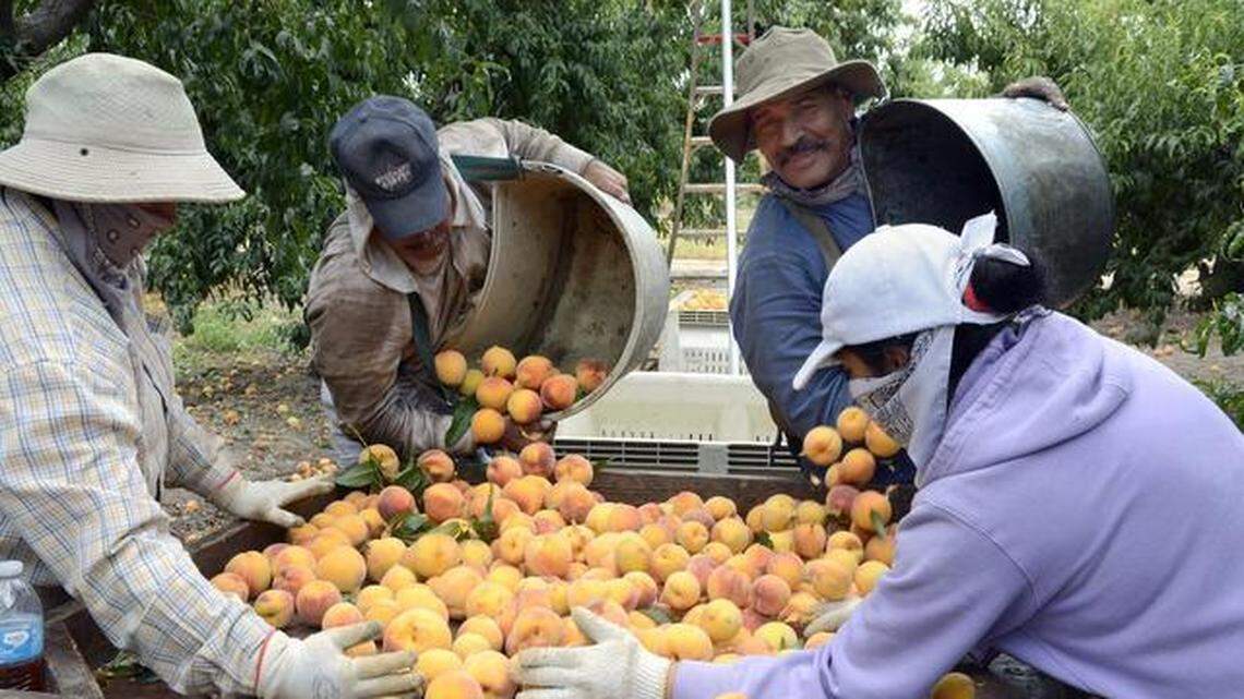 Update: Stanislaus supervisors confront lack of applicants to farmworker panel