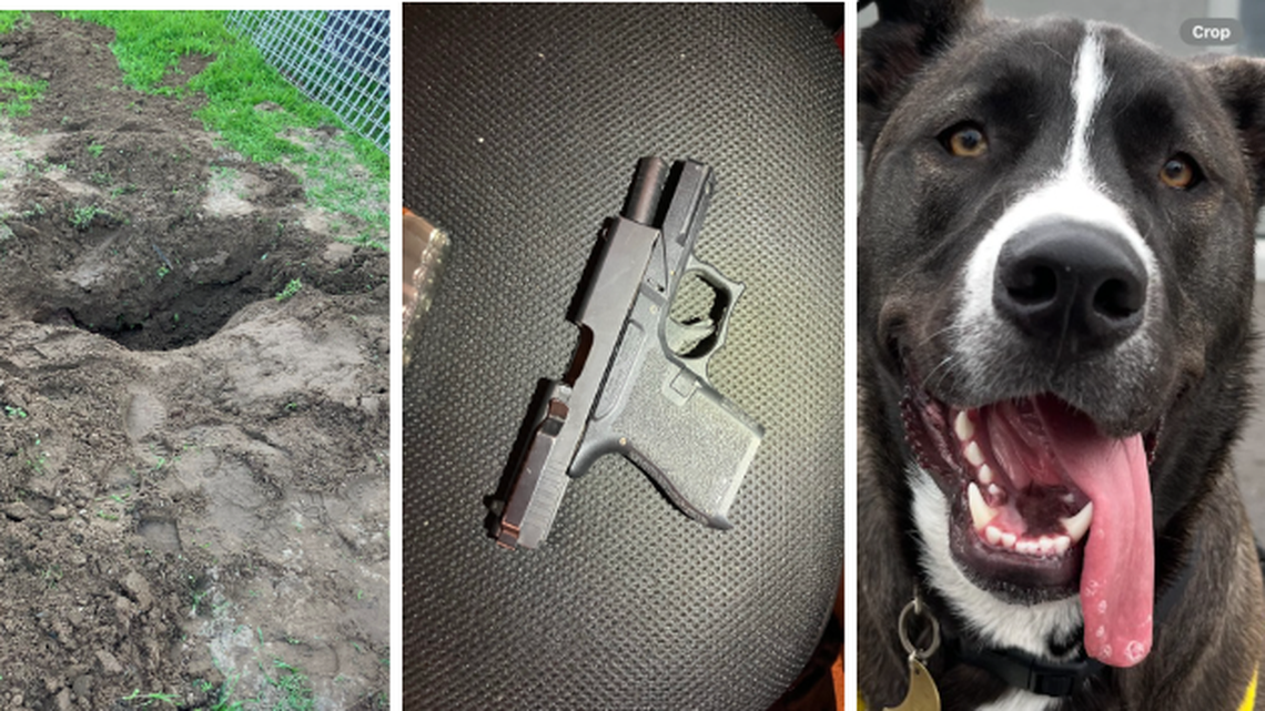 Winton man arrested for allegedly killing friend’s dog, forcing him to bury it