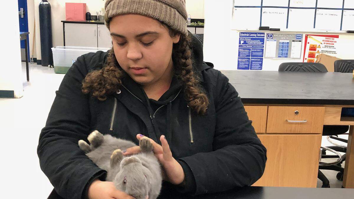 Atwater High senior Kaya Briscoe-Mattis has won numerous FFA awards during her time at Atwater High.