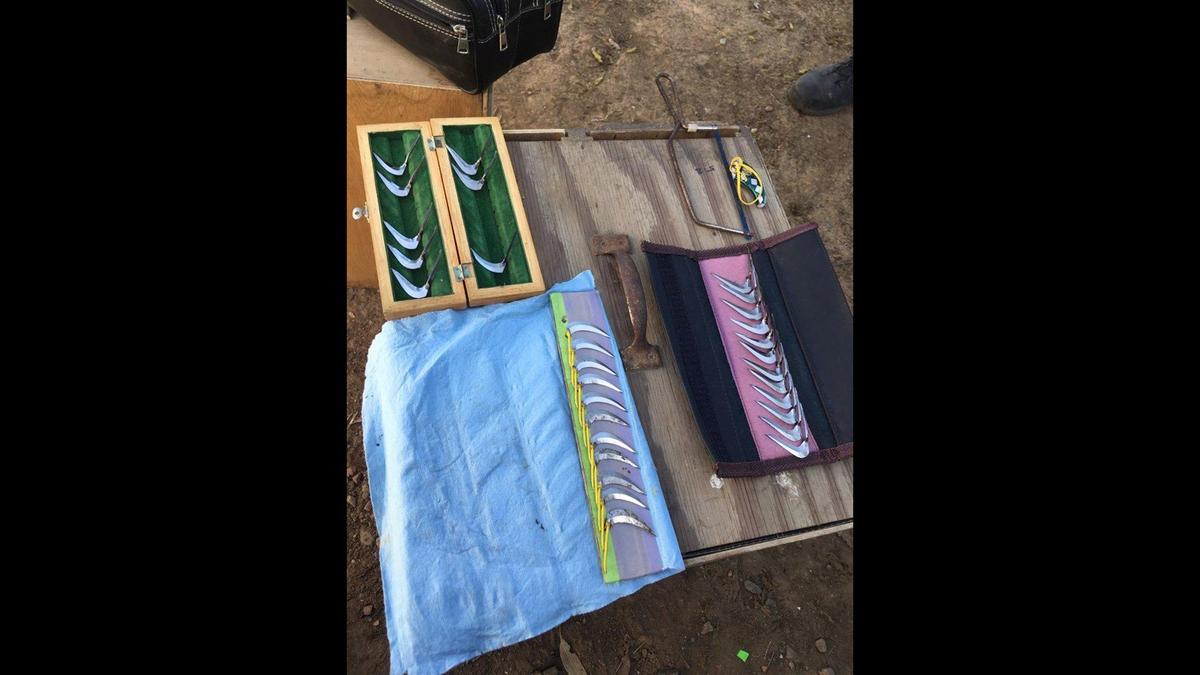 Multiple people took off running when Merced County Sheriff deputies broke up a cockfighting operation on North Arboleda Drive in Merced County on Sunday, according to the Merced County Sheriff’s Office. Deputies located multiple items consistent with cockfighting including scales and spurs in addition to 37 roosters. Image courtesy of Merced County Sheriff’s Office.