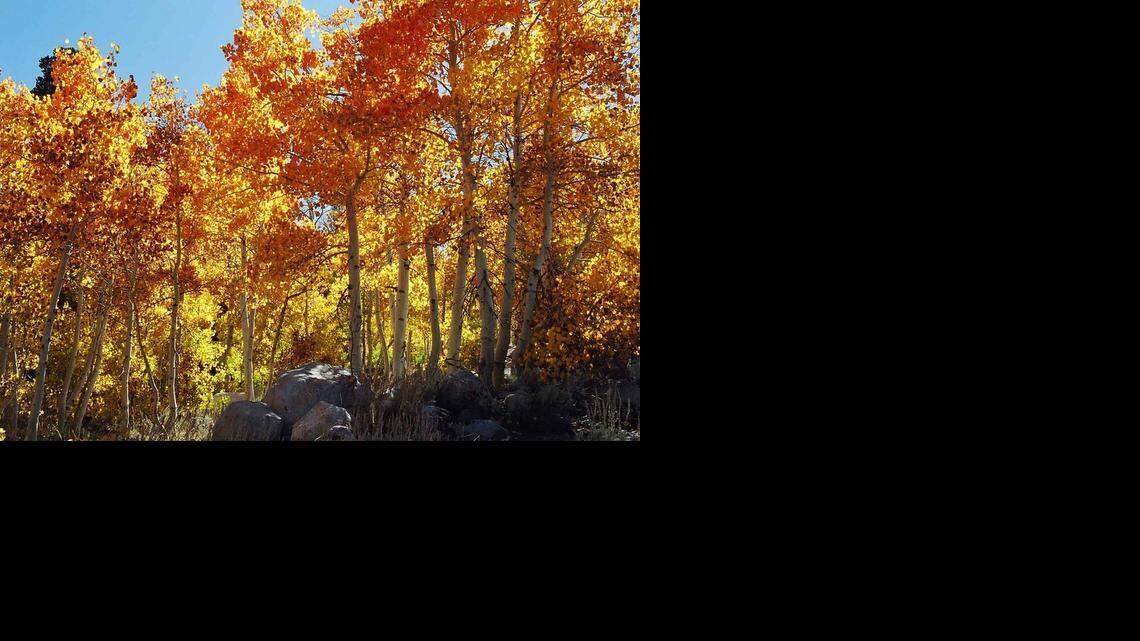 Adam Blauert on Outdoors: Fall is a great time to experience the outdoors