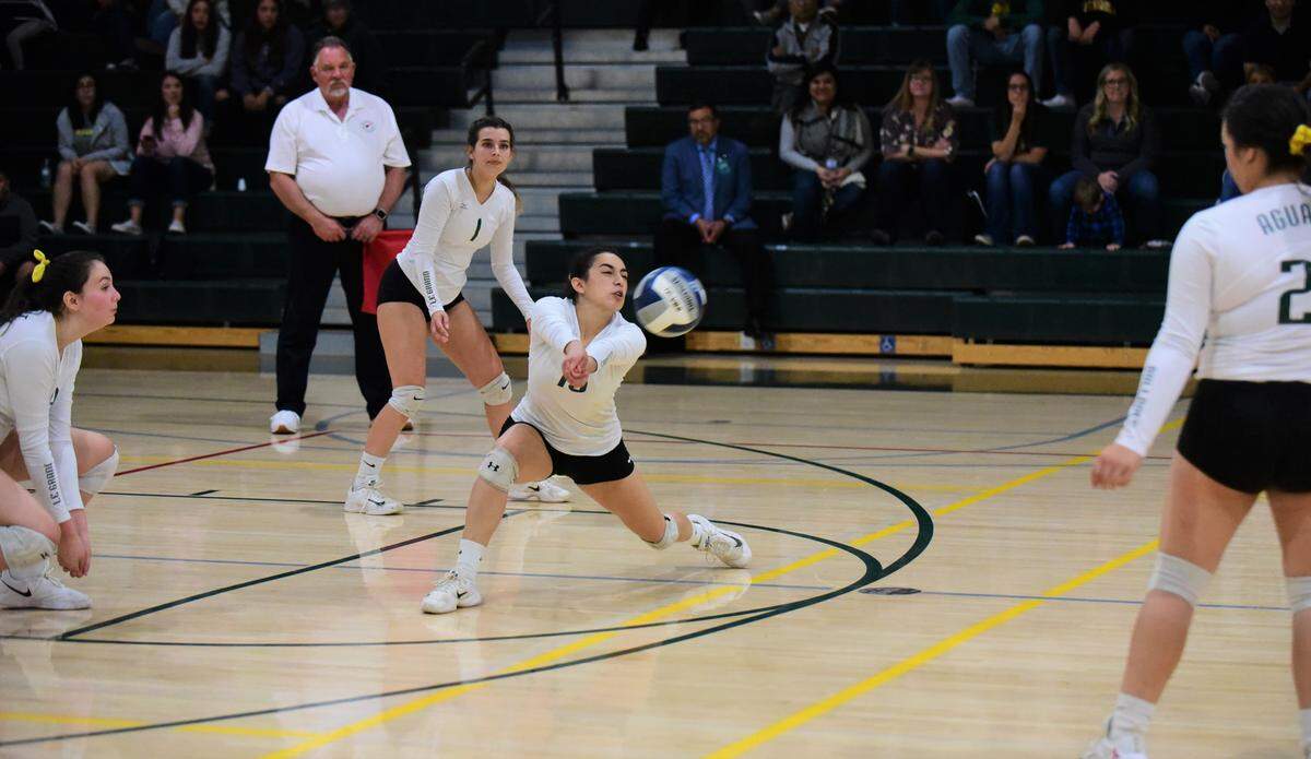 Le Grand High senior Gabbi Mix digs a ball for the Bulldogs during their Northern California Regional Playoff game on Tuesday, Nov. 12, 2019 at Le Grand High School.