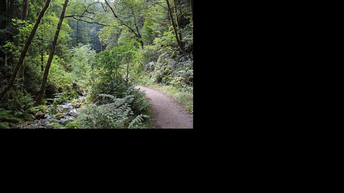 Blauert on Outdoors: Mendocino County offers great hikes near the coast